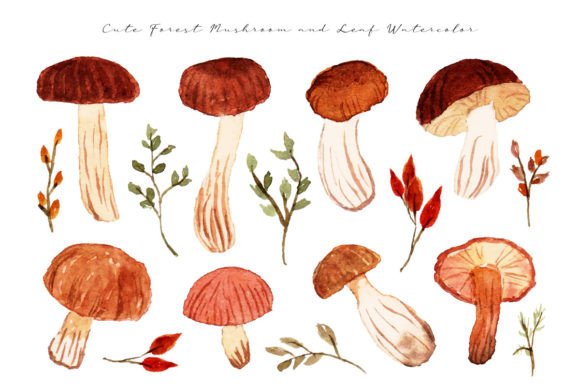 Aesthetic Mushroom Watercolor Collection: Illustrations That Elevate Brand Storytelling
