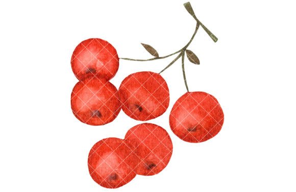 Apple Branch, Watercolor Illustration for Creative Sellers