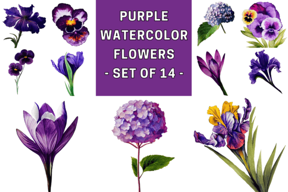 Beautiful Purple Watercolor Flowers Illustrations: A Brand Designer’s Review for Marketing & Visual Content