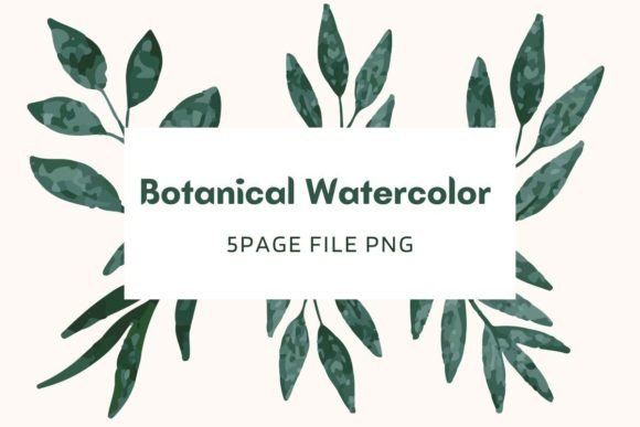 Botanical Watercolor Pack 12: A Fresh Illustration Suite for Organic Branding