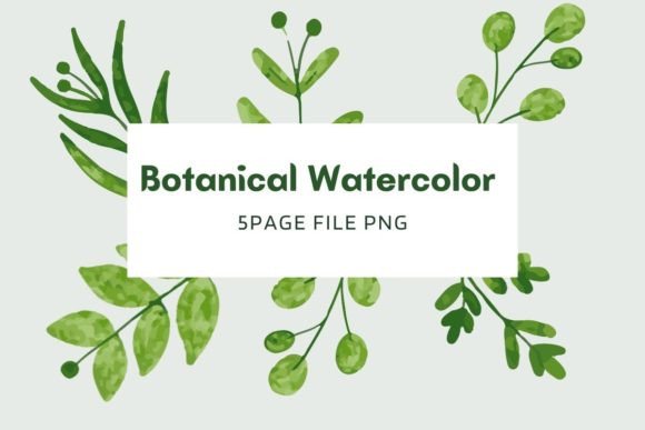 Botanical Watercolor Pack 14: A Designer’s Honest Review for Real Client Projects