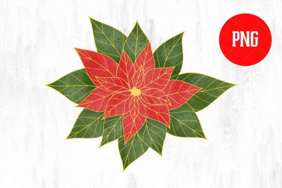 h1Watercolor Poinsettia Illustrations for Creative Sellers/h1