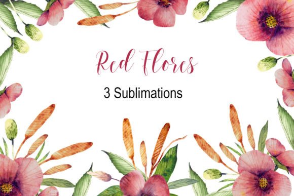 Red Flowers Watercolor Clipart: A Designer’s Review for Branding & Creative Projects