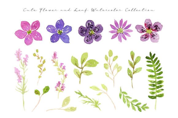 Spring Wild Flower and Leaf Watercolor: A Designer’s Take on Its Visual Impact and Practical Use