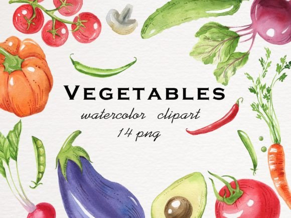 Vegetables Watercolor: A Fresh Look for Embroidery Projects