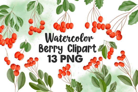 Watercolor Berries Clipart & Rosehip Illustrations for Soft, Handmade Branding