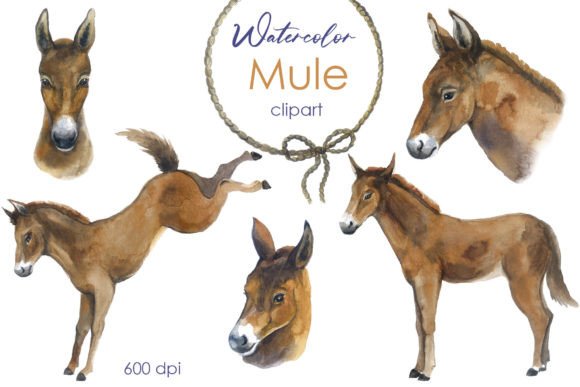 Watercolor Clipart: Farm Cute Mule PNG – A Designer’s Honest Review for Real Embroidery Use