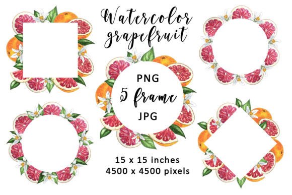 Watercolor Frame Citrus Flowers Leaf PNG for Real Brand Design Projects