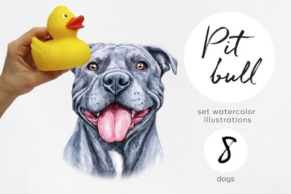 Watercolor Pitt Bull Dogs Illustrations for Digital Sellers
