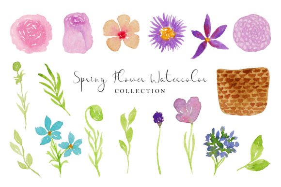 Wild Flower, Leaf, and Basket Watercolor Illustrations